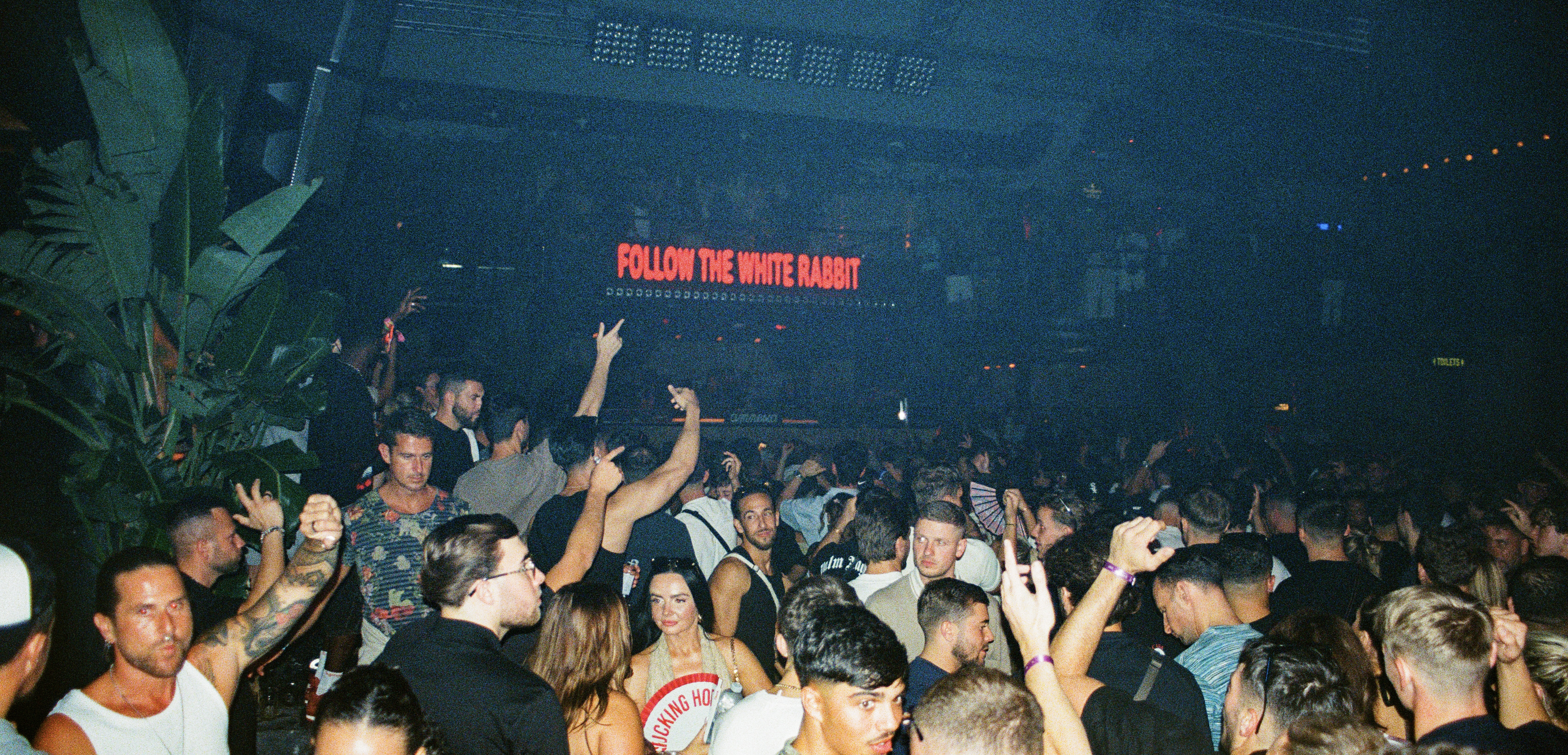 Amnesia Closing Festival 2025: Ibiza, don't lose your soul